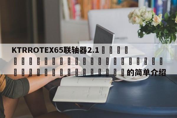 KTRROTEX65聯軸器2.1 的簡單介紹