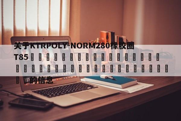 關于KTRPOLY-NORM280橡膠圈T85 的信息