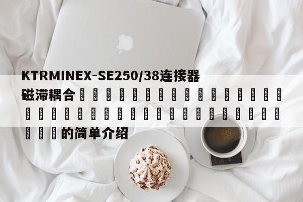 KTRMINEX-SE250/38連接器磁滯耦合 的簡單介紹