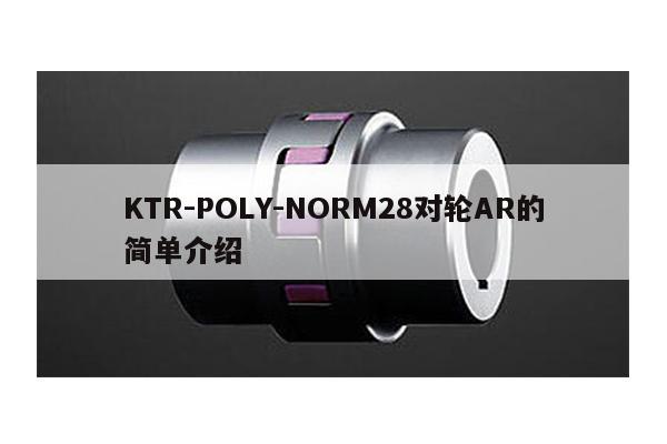 KTR-POLY-NORM28對輪AR的簡單介紹