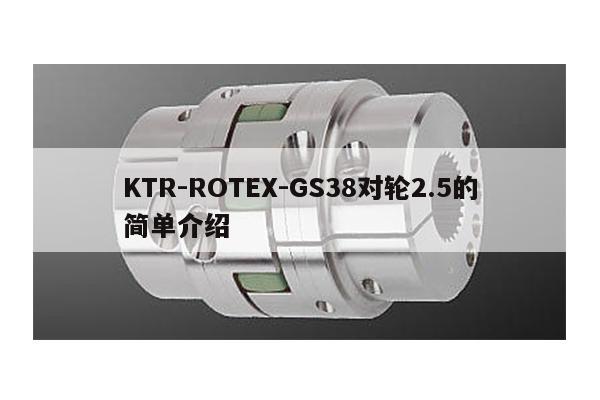 KTR-ROTEX-GS38對輪2.5的簡單介紹