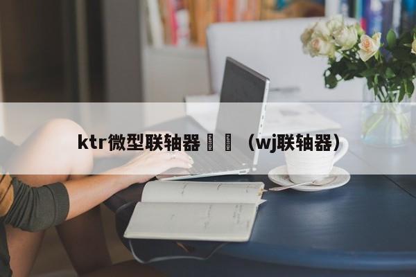 ktr微型聯軸器 (wj聯軸器)