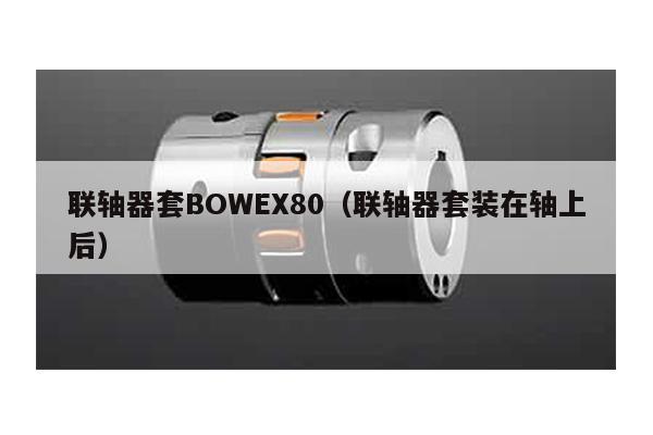 聯軸器套BOWEX80(聯軸器套裝在軸上后)