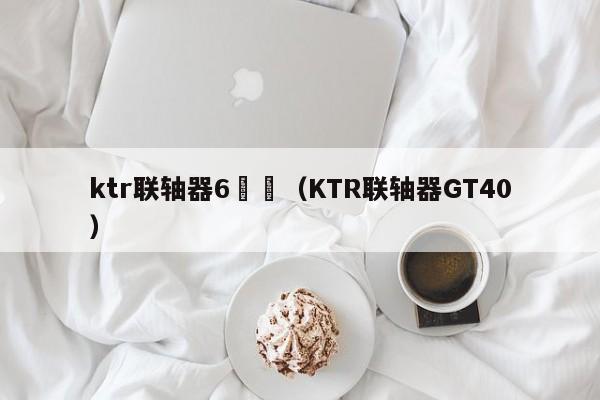 ktr聯軸器6 (KTR聯軸器GT40)