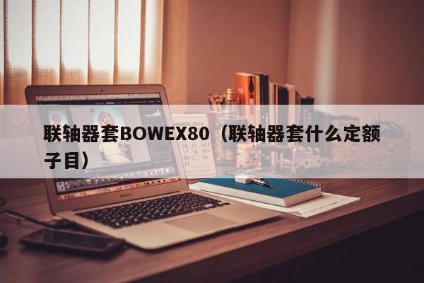 聯軸器套BOWEX80(聯軸器套什么定額子目)