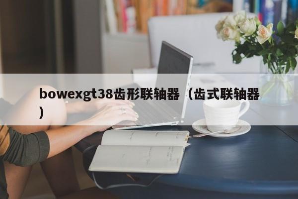 bowexgt38齒形聯軸器(齒式聯軸器)